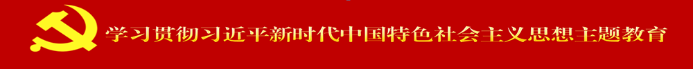 学习贯彻习近平新时代中国特色社会主义思想主题教育
